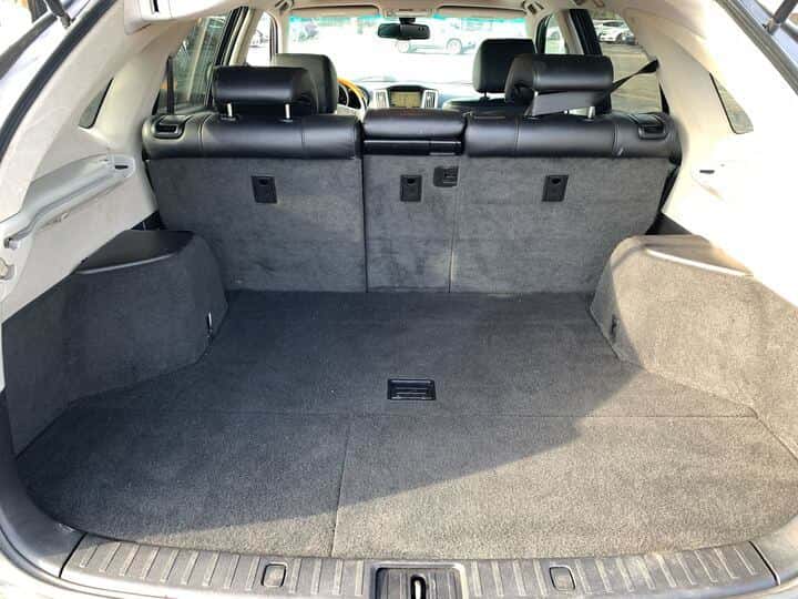2009 Lexus RX 350 16