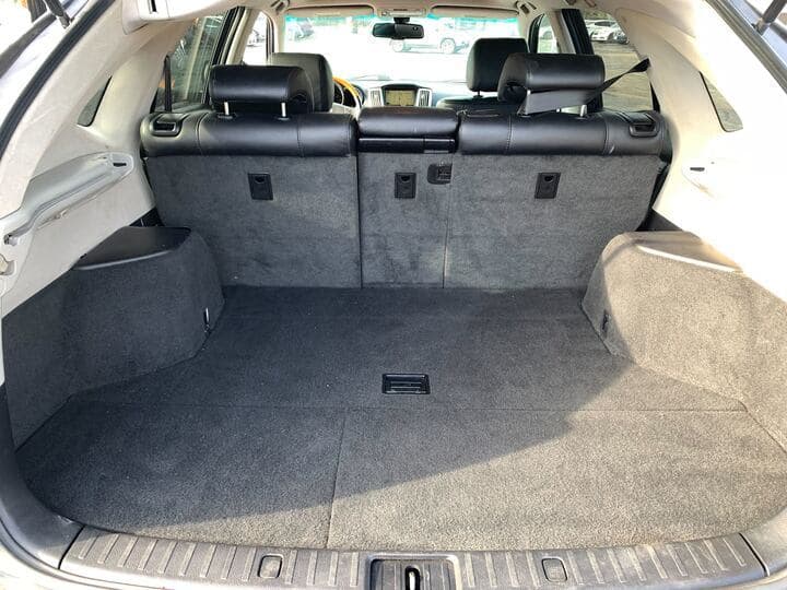 2009 Lexus RX 350 16