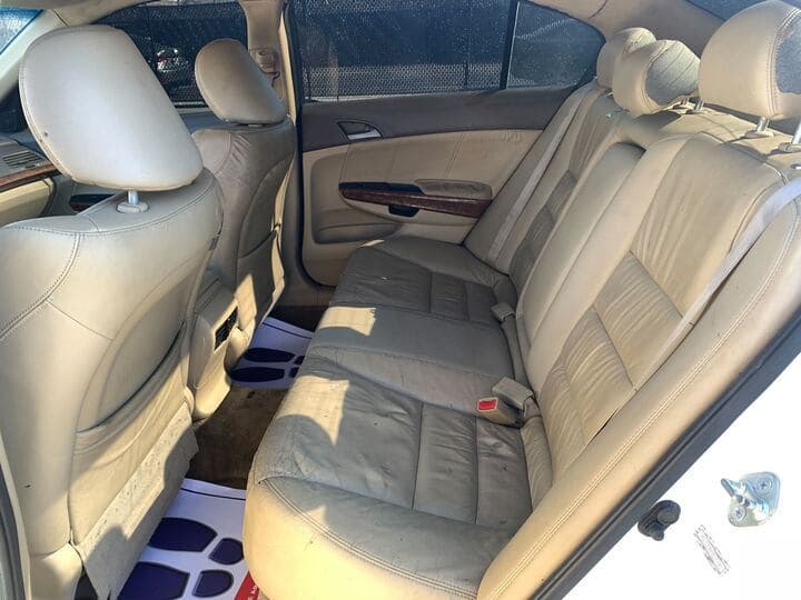 2010 Honda Accord 13