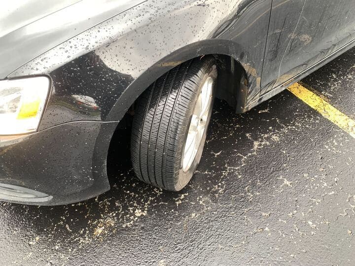 2011 Volkswagen Jetta 5